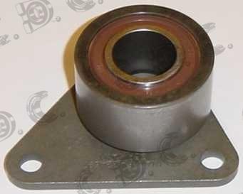 Autokit 03.205 - Galoppino / Guidacinghia, Cinghia dentata www.autoricambi360.it