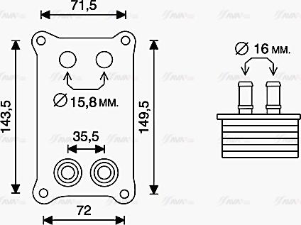AVA FD3623 - Radiatore olio, Olio motore www.autoricambi360.it