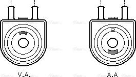 AVA PE 3285 - Radiatore olio, Olio motore www.autoricambi360.it