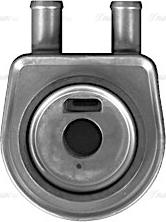 AVA RE3148 - Radiatore olio, Olio motore www.autoricambi360.it
