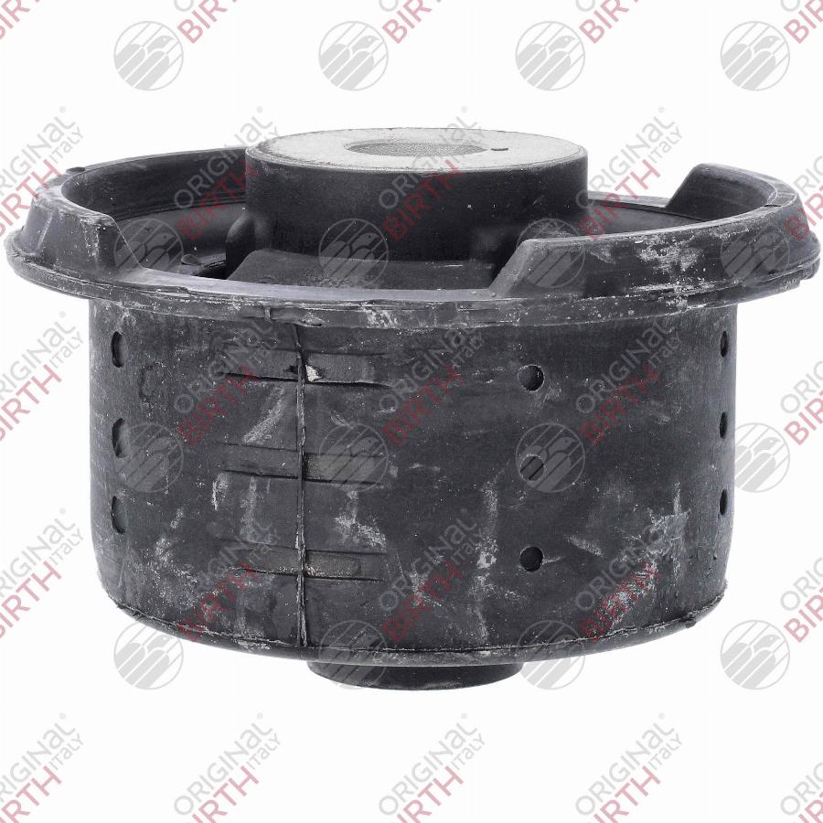 Birth 53910 - Supporto, Corpo assiale www.autoricambi360.it