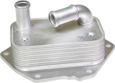 Birth 80321 - Radiatore olio, Olio motore www.autoricambi360.it