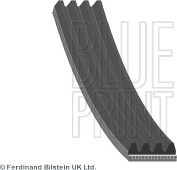 Blue Print AD04R855 - Cinghia Poly-V www.autoricambi360.it