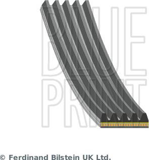 Blue Print AD05A1495 - Cinghia Poly-V www.autoricambi360.it