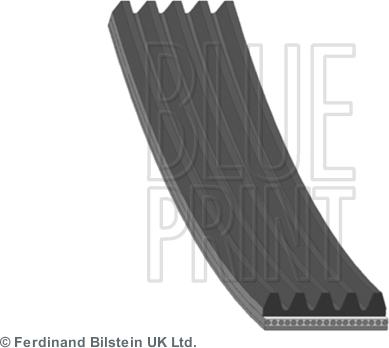 Blue Print AD05R810 - Cinghia Poly-V www.autoricambi360.it