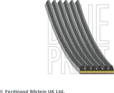 Blue Print AD06A1199 - Cinghia Poly-V www.autoricambi360.it