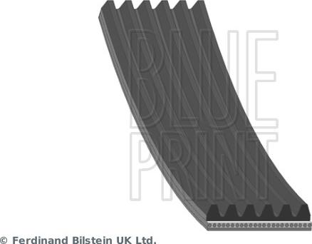 Blue Print AD06R1210 - Cinghia Poly-V www.autoricambi360.it