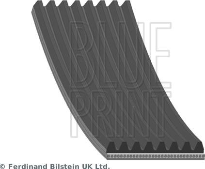 Blue Print AD08R1295 - Cinghia Poly-V www.autoricambi360.it