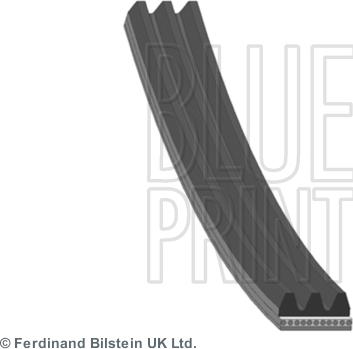 Blue Print AD03R580 - Cinghia Poly-V www.autoricambi360.it