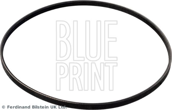 Blue Print AD03R872 - Cinghia Poly-V www.autoricambi360.it