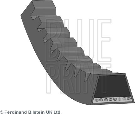 Blue Print AD13V875 - Cinghia trapezoidale www.autoricambi360.it
