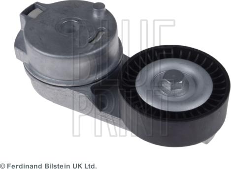 Blue Print ADA109607 - Tendicinghia, Cinghia Poly-V www.autoricambi360.it