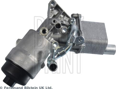 Blue Print ADBP210153 - Radiatore olio, Olio motore www.autoricambi360.it
