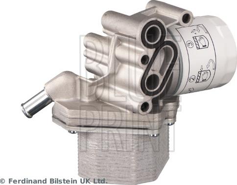 Blue Print ADBP210183 - Radiatore olio, Olio motore www.autoricambi360.it