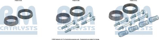 BM Catalysts FK91717 - Kit montaggio, Catalizzatore www.autoricambi360.it