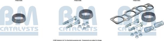 BM Catalysts FK92154 - Kit montaggio, Catalizzatore www.autoricambi360.it