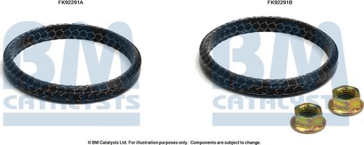 BM Catalysts FK92291 - Kit montaggio, Catalizzatore www.autoricambi360.it