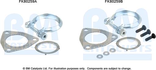 BM Catalysts FK80259 - Kit montaggio, Catalizzatore www.autoricambi360.it