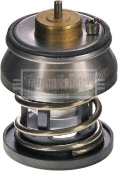 Borg & Beck BBT531 - Termostato, Refrigerante www.autoricambi360.it