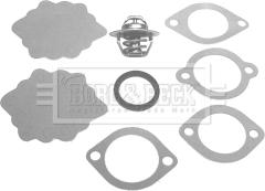 Borg & Beck BBT003 - Termostato, Refrigerante www.autoricambi360.it