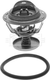 Borg & Beck BBT072 - Termostato, Refrigerante www.autoricambi360.it