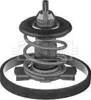 Borg & Beck BBT393 - Termostato, Refrigerante www.autoricambi360.it