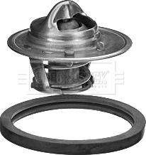 Borg & Beck BBT348 - Termostato, Refrigerante www.autoricambi360.it