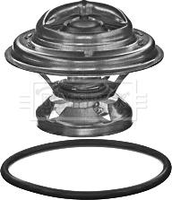 Borg & Beck BBT360 - Termostato, Refrigerante www.autoricambi360.it