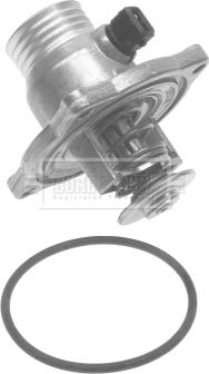Borg & Beck BBT245 - Termostato, Refrigerante www.autoricambi360.it