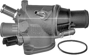 Borg & Beck BBT266 - Termostato, Refrigerante www.autoricambi360.it