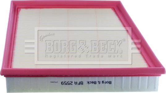 Borg & Beck BFA2559 - Filtro aria www.autoricambi360.it