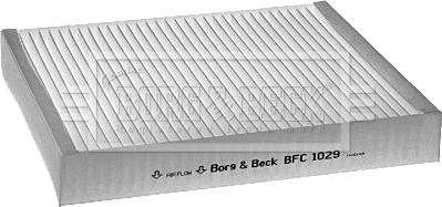 Borg & Beck BFC1029 - Filtro, Aria abitacolo www.autoricambi360.it