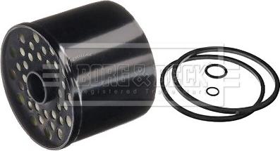 Borg & Beck BFF8020 - Filtro carburante www.autoricambi360.it