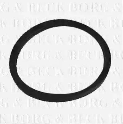 Borg & Beck BG041 - Termostato, Refrigerante www.autoricambi360.it
