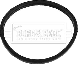 Borg & Beck BG048 - Termostato, Refrigerante www.autoricambi360.it