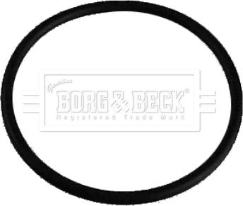 Borg & Beck BG042 - Termostato, Refrigerante www.autoricambi360.it
