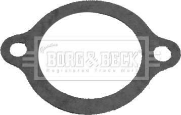 Borg & Beck BG029 - Termostato, Refrigerante www.autoricambi360.it