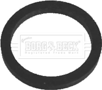 Borg & Beck BG025 - Termostato, Refrigerante www.autoricambi360.it