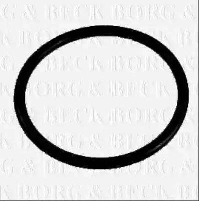 Borg & Beck BG021 - Termostato, Refrigerante www.autoricambi360.it