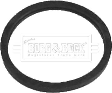 Borg & Beck BG022 - Termostato, Refrigerante www.autoricambi360.it