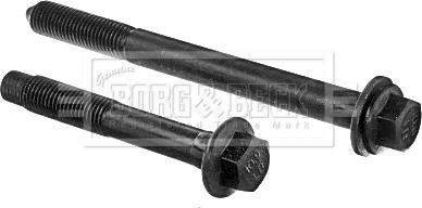 Borg & Beck BSK7814 - Perno fissaggio, Braccio oscillante www.autoricambi360.it