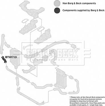 Borg & Beck BTH1719 - Flessibile aria alimentazione www.autoricambi360.it