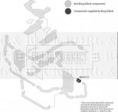 Borg & Beck BTH1717 - Flessibile aria alimentazione www.autoricambi360.it
