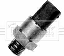 Borg & Beck BTS928.97 - Termocontatto, Ventola radiatore www.autoricambi360.it