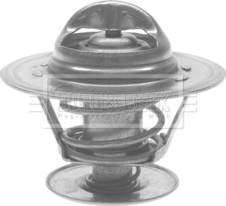 Borg & Beck BTS414.89 - Termostato, Refrigerante www.autoricambi360.it