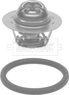 Borg & Beck BTS583.75 - Termostato, Refrigerante www.autoricambi360.it