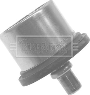 Borg & Beck BTS624.80 - Termostato, Refrigerante www.autoricambi360.it