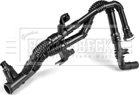Borg & Beck BTS1127 - Flessibile radiatore www.autoricambi360.it