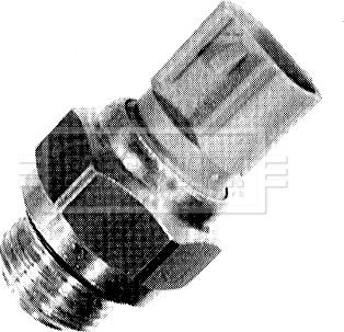 Borg & Beck BTS890.100 - Termocontatto, Ventola radiatore www.autoricambi360.it