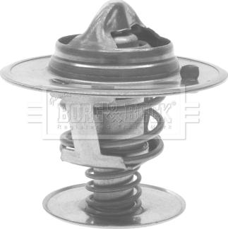 Borg & Beck BTS219.92 - Termostato, Refrigerante www.autoricambi360.it